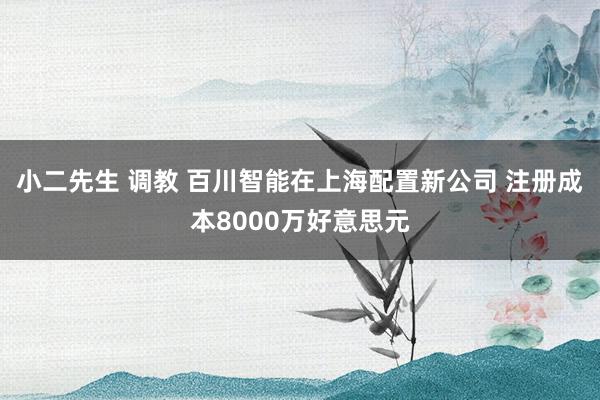 小二先生 调教 百川智能在上海配置新公司 注册成本8000万好意思元