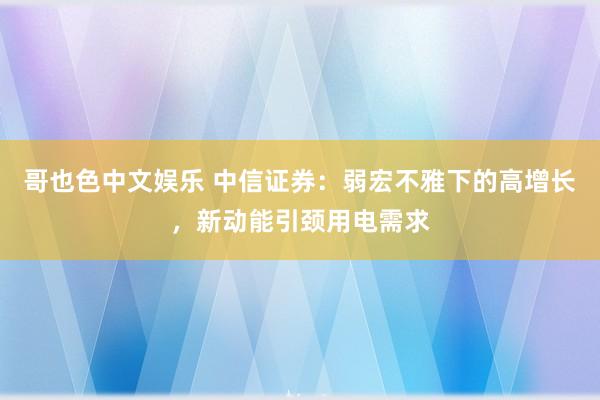 哥也色中文娱乐 中信证券：弱宏不雅下的高增长，新动能引颈用电需求