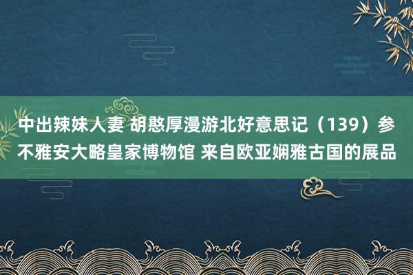 中出辣妹人妻 胡憨厚漫游北好意思记（139）参不雅安大略皇家博物馆 来自欧亚娴雅古国的展品