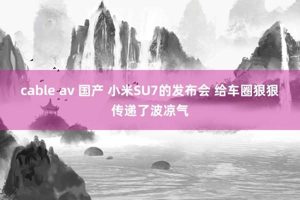 cable av 国产 小米SU7的发布会 给车圈狠狠传递了波凉气