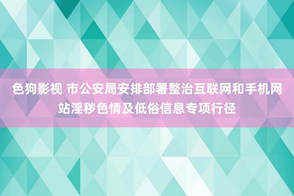 色狗影视 市公安局安排部署整治互联网和手机网站淫秽色情及低俗信息专项行径