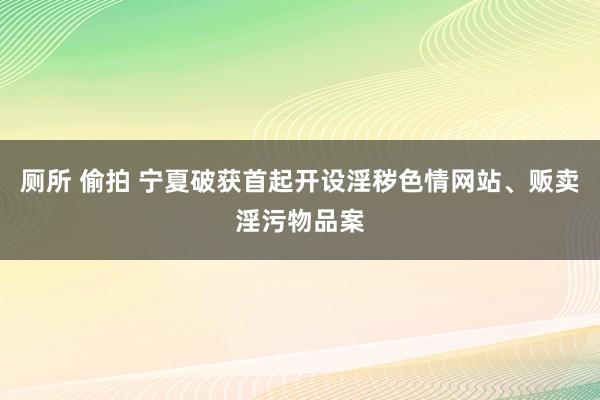 厕所 偷拍 宁夏破获首起开设淫秽色情网站、贩卖淫污物品案