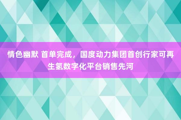 情色幽默 首单完成，国度动力集团首创行家可再生氢数字化平台销售先河