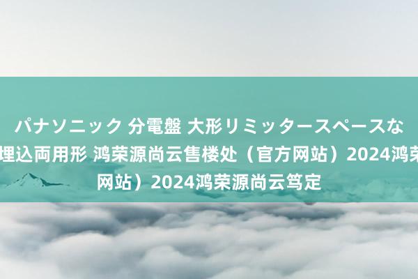 パナソニック 分電盤 大形リミッタースペースなし 露出・半埋込両用形 鸿荣源尚云售楼处（官方网站）2024鸿荣源尚云笃定