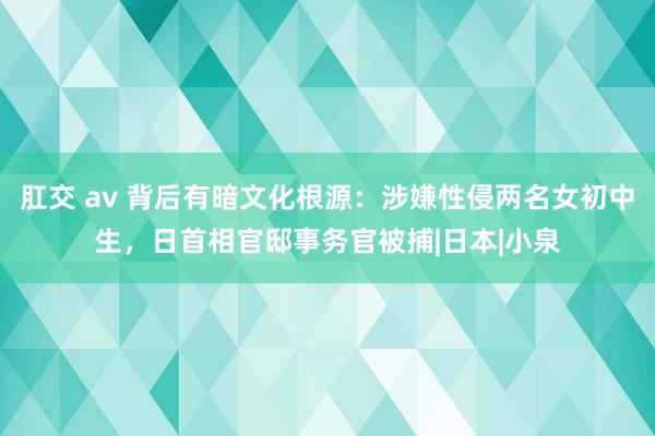 肛交 av 背后有暗文化根源：涉嫌性侵两名女初中生，日首相官邸事务官被捕|日本|小泉